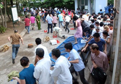 Parents jostled, pushed and shoved to buy application forms in Thuc Nghiem School on May 12 (Photo:SGGP)